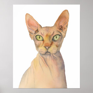 Poster Traço de Aquarela de Cat Quirky Sphynx