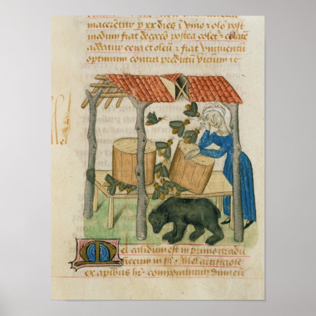 Póster Tractatus de Herbis" (Frente)