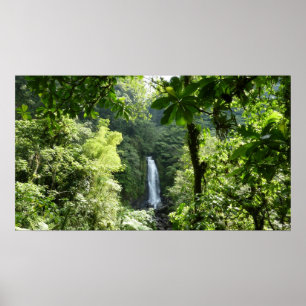 Poster Traffic Falls Tropical RainForest Fotografia