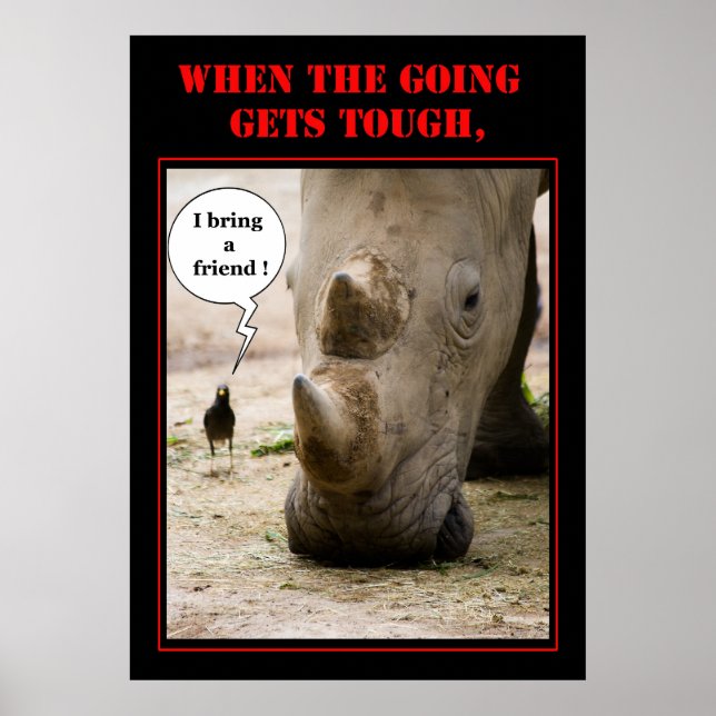 Póster Traga Um Amigo (Frente)