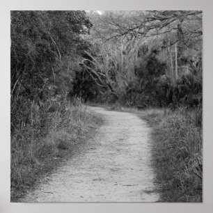 Póster Trajeto arborizado de B&W