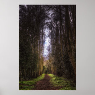 Póster Trajeto da limeira