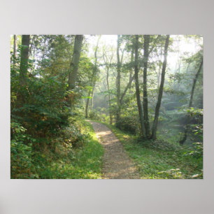 Póster Trajeto de floresta em Dinamarca