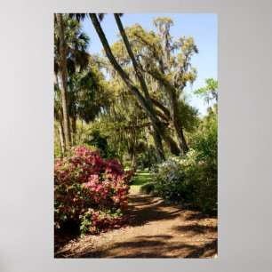 Póster Trajeto do jardim