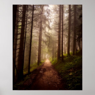 Póster Trajeto enevoado da floresta