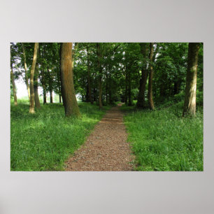 Póster Trajeto nas madeiras, parque do Bute, Cardiff