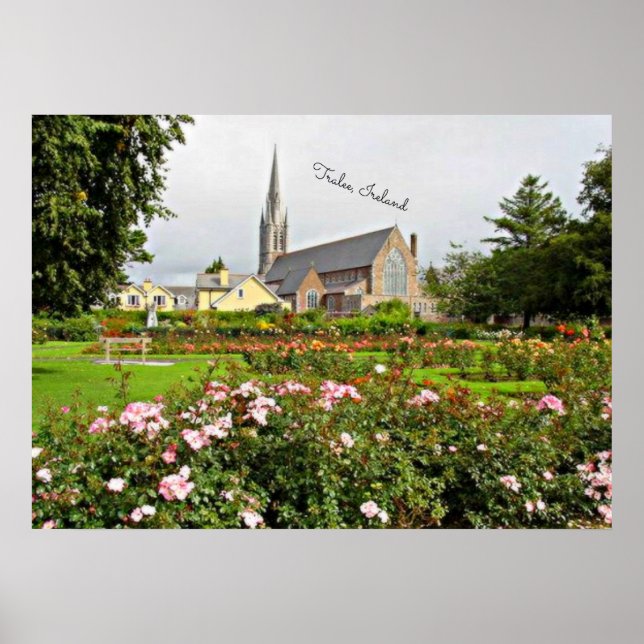 Póster Tralee, Jardim Rosa da Irlanda (Frente)