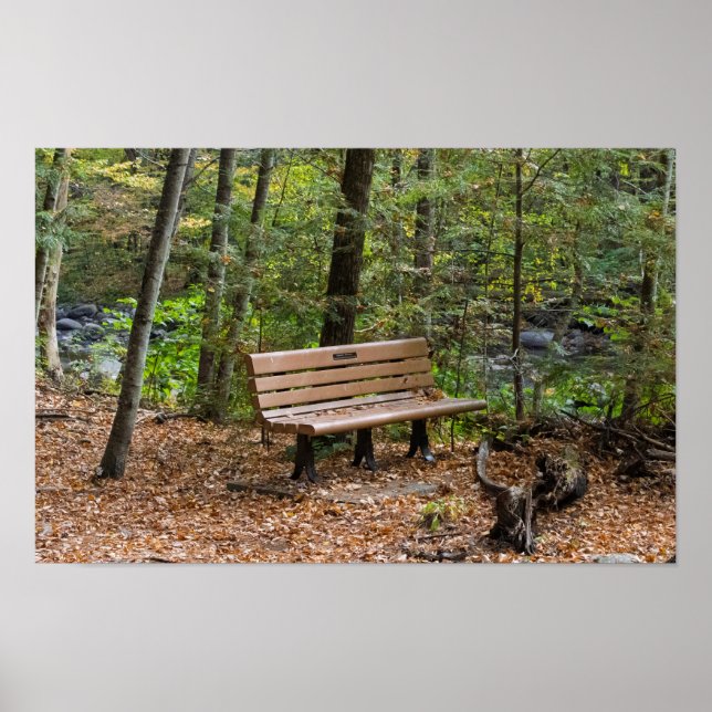 Poster Tranquil Forest Bench in Autumn (Frente)