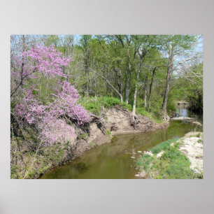 Poster Tranquilidade