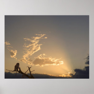 Poster Tranquilidade