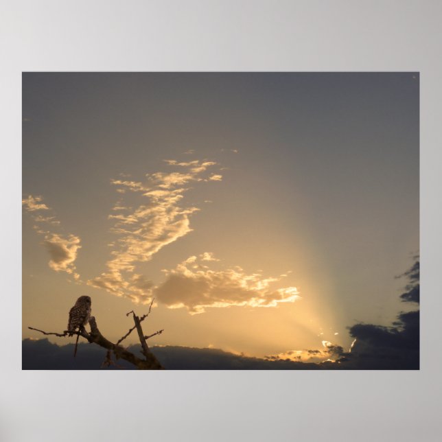 Poster Tranquilidade (Frente)