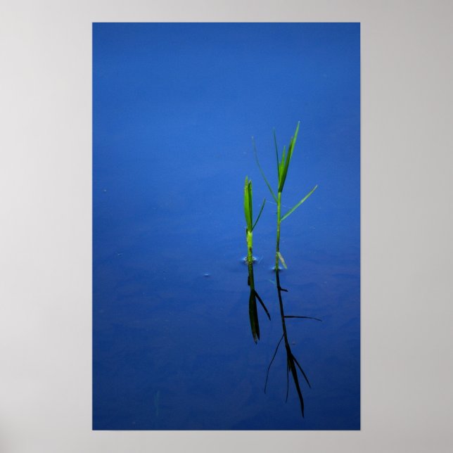 Póster Tranquilidade (Frente)