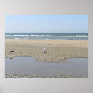 Poster Tranquilidade