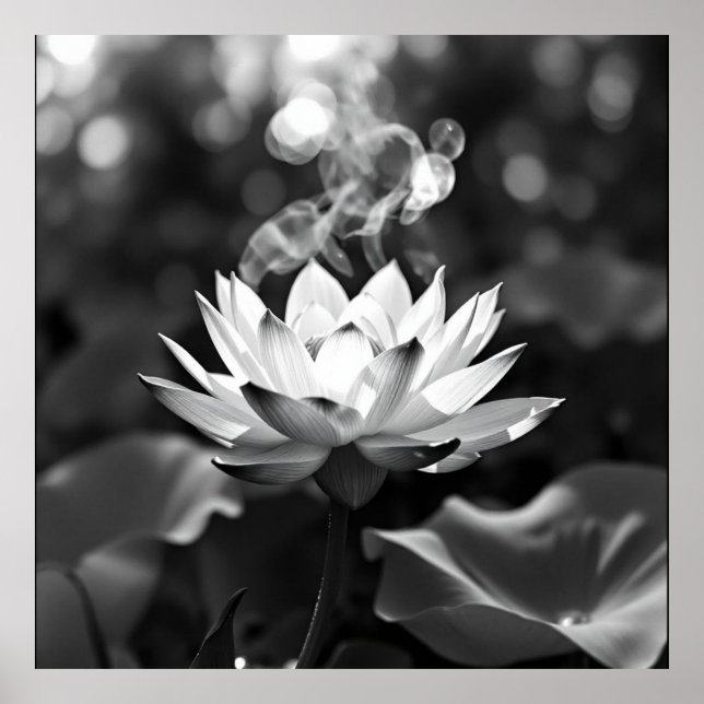 Poster Tranquilidade florescente: Arte a carvão Lotus (Frente)