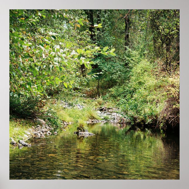 Poster Tranquilidade na floresta...... (Frente)