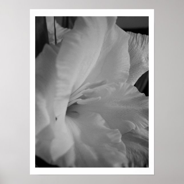 Póster Tranquilo (Frente)