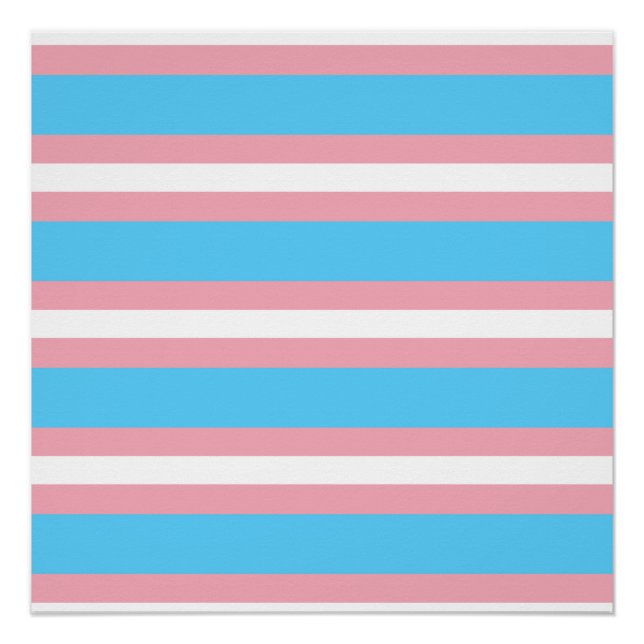 Póster trans (Frente)