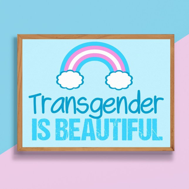 Poster Transgênero: Belo Rainbow Blue Pink White (Criador carregado)