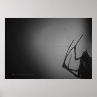 PÓSTER TRANSLUCENTE 8