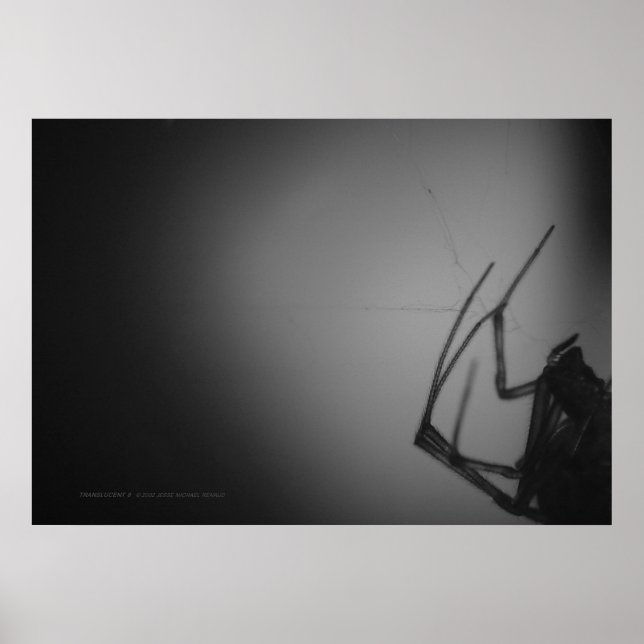 PÓSTER TRANSLUCENTE 8 (Frente)