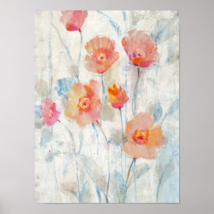 Póster Translúcido II