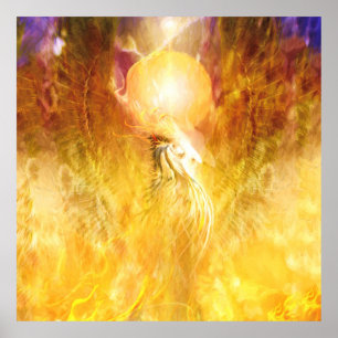 Poster TRANSMUTAÇÃO DE Pássaros de Fogo Phoenix