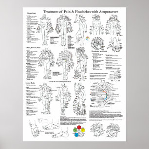Póster Tratamento da acupunctura da dor e das dores de