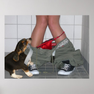 Póster Travado com minhas calças para baixo outra vez,
