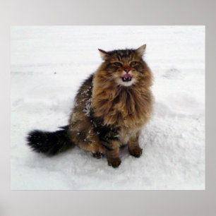 Poster Travando um floco de neve