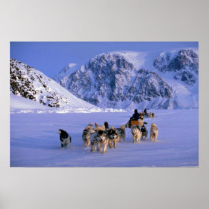 Póster Traveling, Ellesmere Island