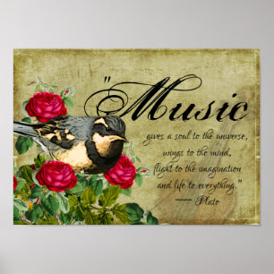 Poster Trecho de Música, Thrush Bird e Rosas, Violino Vin