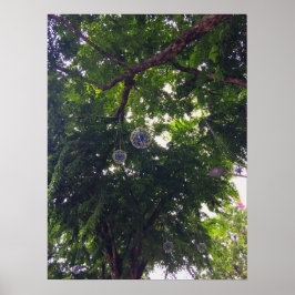 Poster Tree Canopy Hanging Decorative Orbs Urban Nature