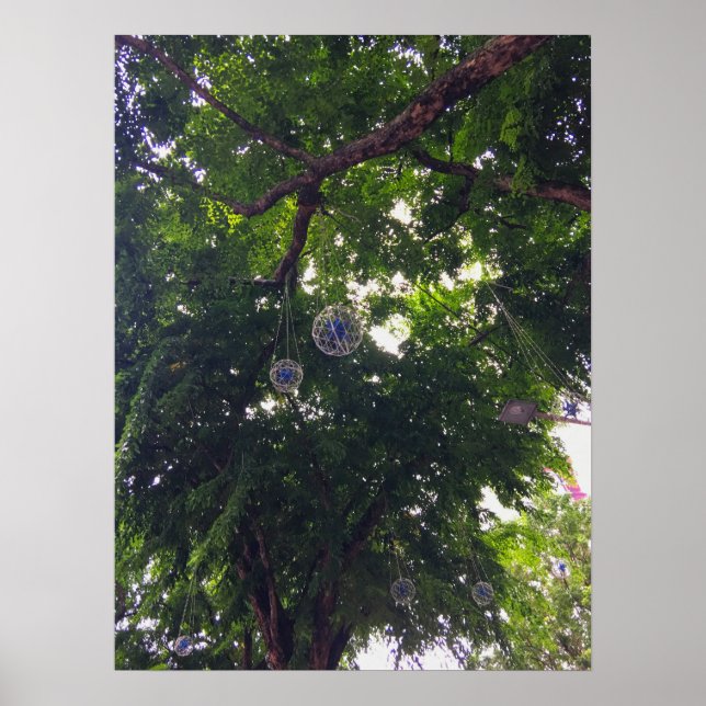 Poster Tree Canopy Hanging Decorative Orbs Urban Nature (Frente)