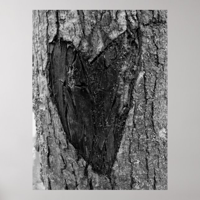 Poster Tree Heart Carving (Frente)