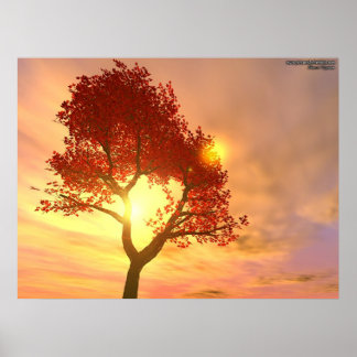 Póster Tree In Sunset