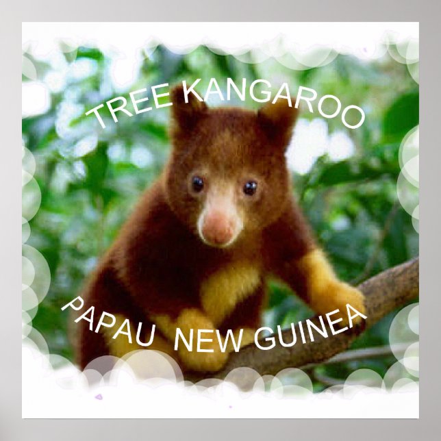 Póster Tree kangaroo (Frente)