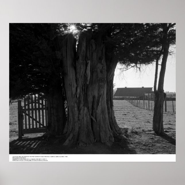Póster Tree Stump, Gate, and Distant Barn, março de 1962 (Frente)