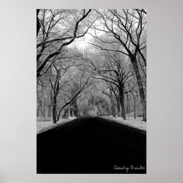 Póster Tree Tunell (Frente)