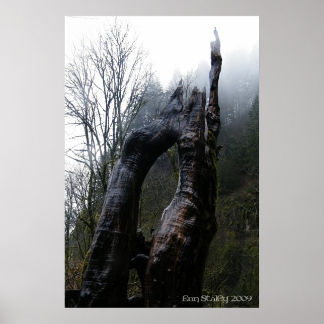 Póster Treegina (Frente)