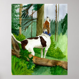 Póster Treeing Walker Coonhound Dog Portrait