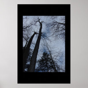 Poster trees