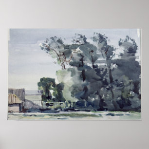 Póster Trees - Dawn