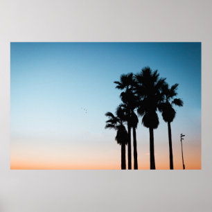 Poster Trees during golden hour