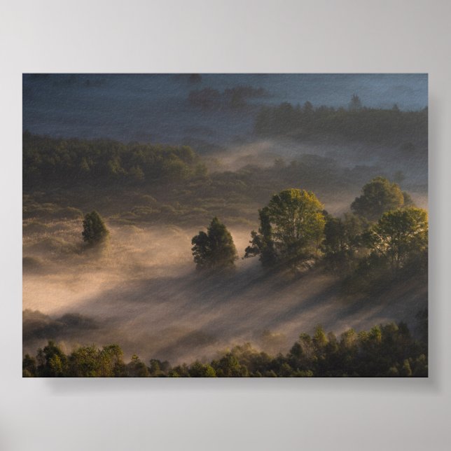 Poster Trees in the morning mis (Frente)