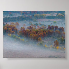Poster Trees in the morning mist