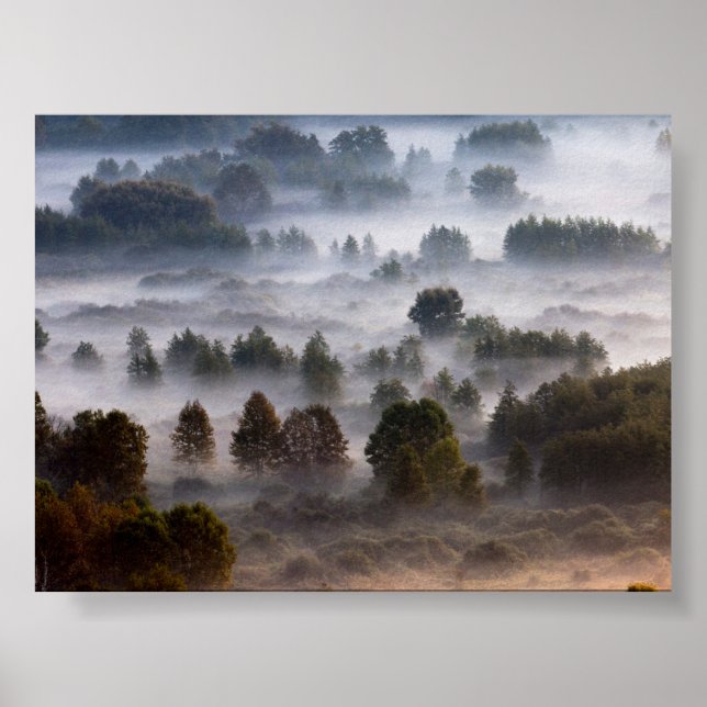 Poster Trees in the morning mist (Frente)