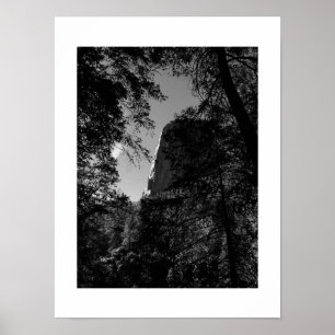 Poster Treeview Yosemite Black and White Photoics