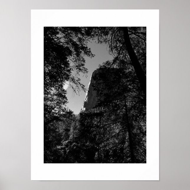 Poster Treeview Yosemite Black and White Photoics (Frente)