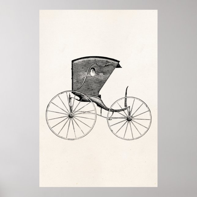 Póster Treinador de Carrinho de Compras de Carruagems Ant (Frente)