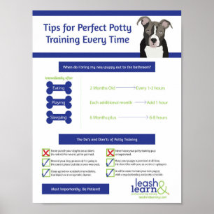Poster Treinamento perfeito para o Puppy Potty